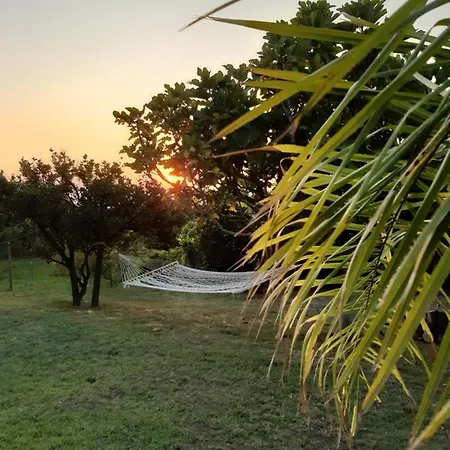 Milivilla Luxury Farmhome 아파트 *